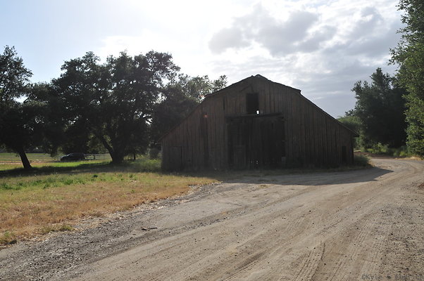DSC 5974