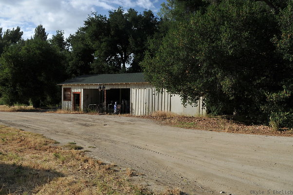 DSC 5963