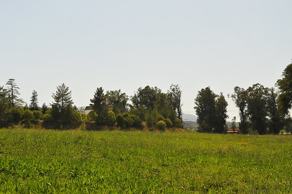 DSC 0656