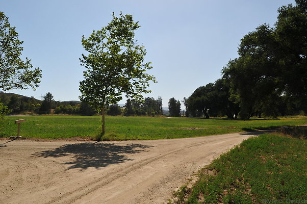 DSC 0628