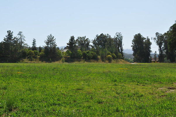 DSC 0642