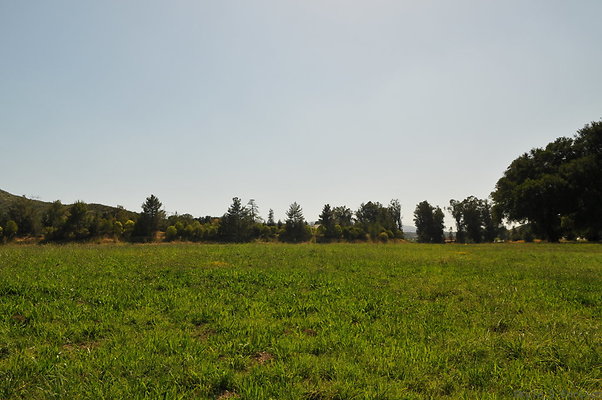 DSC 0658