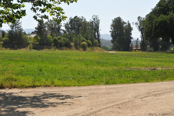 DSC 0630