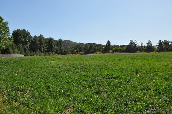 DSC 0637