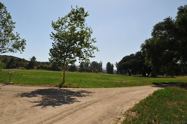 DSC 0632