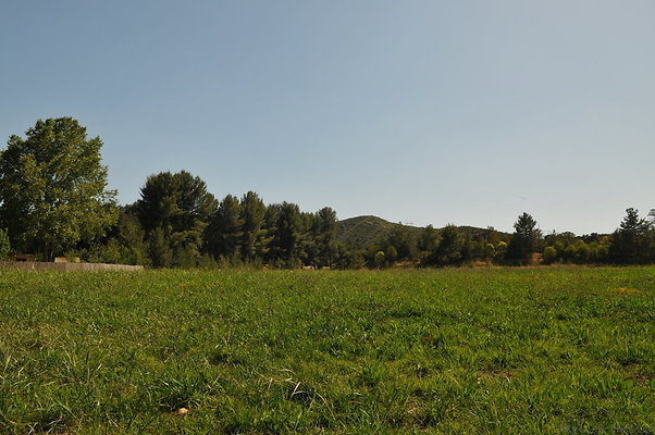 DSC 0657