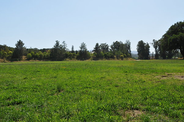 DSC 0641