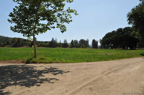 DSC 0634