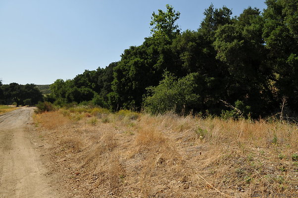 DSC 0671
