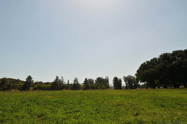 DSC 0654