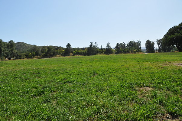 DSC 0640