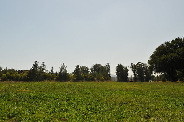 DSC 0655