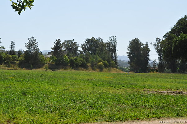 DSC 0636