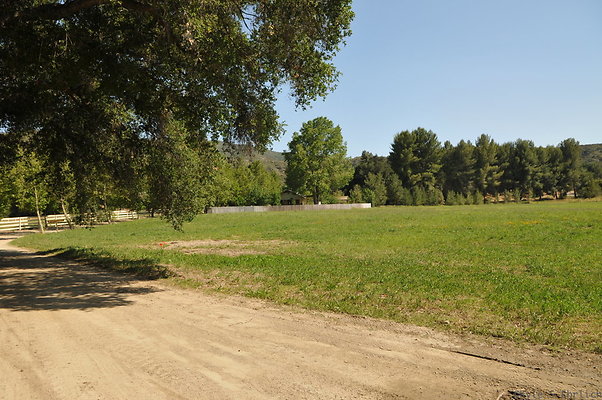 DSC 0669