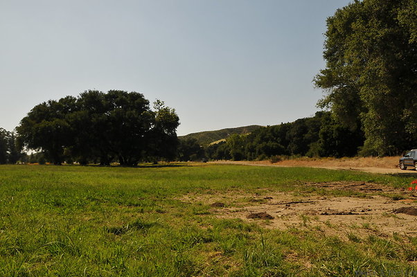 DSC 0659