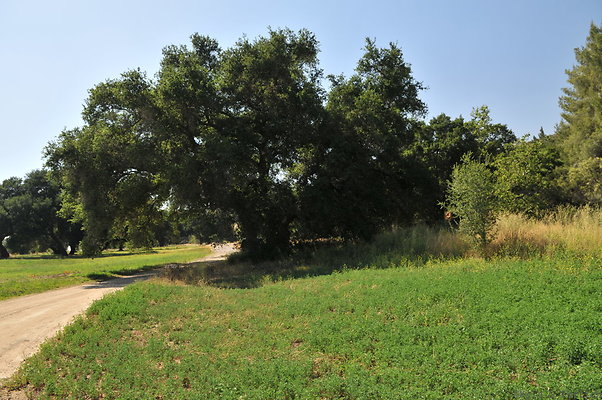 DSC 0633