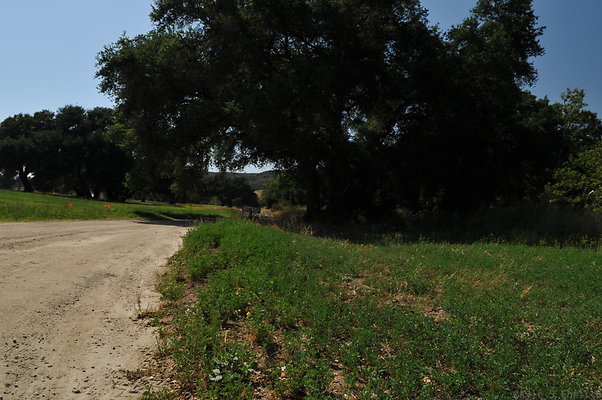 DSC 0627