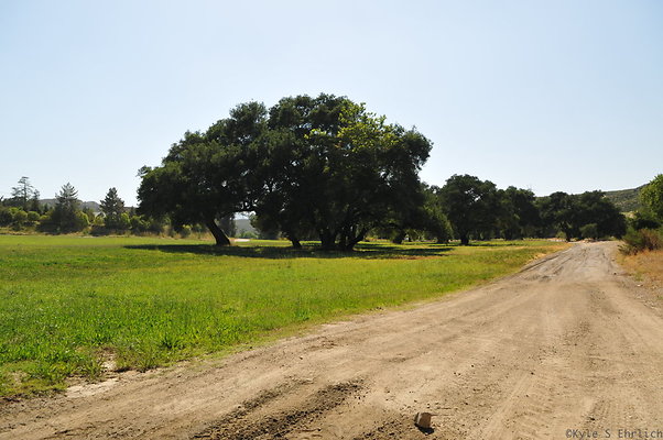 DSC 0666