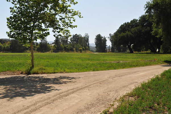DSC 0629