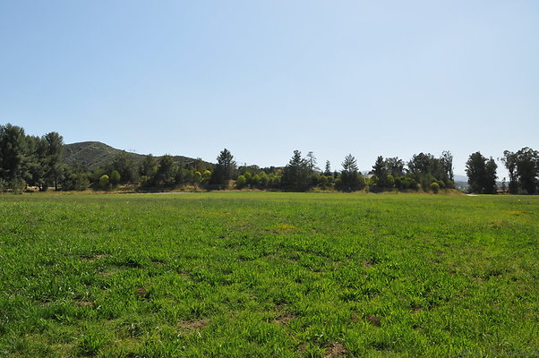 DSC 0645