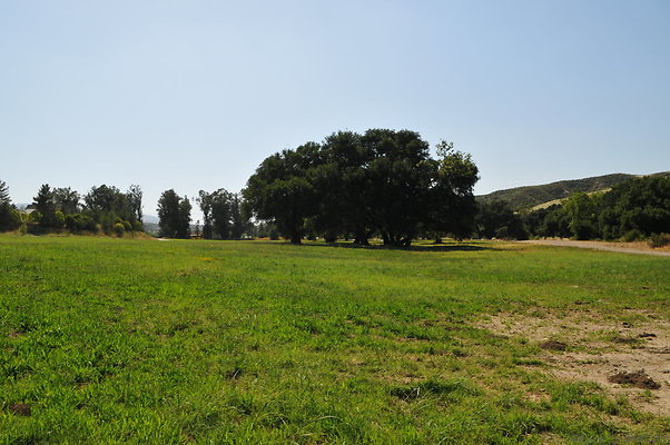 DSC 0653