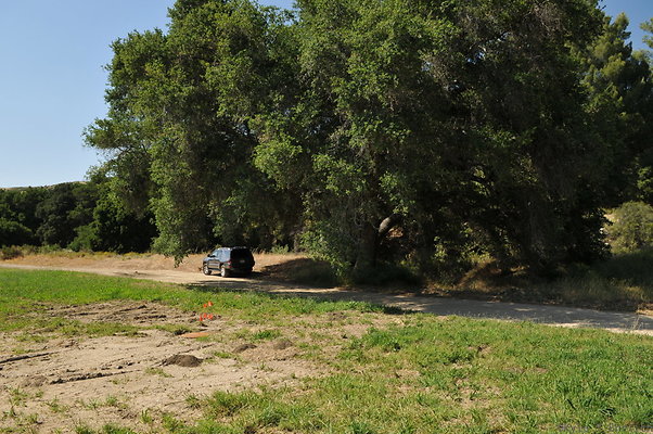 DSC 0647
