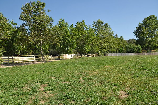 DSC 0650
