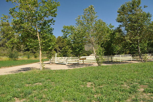 DSC 0649