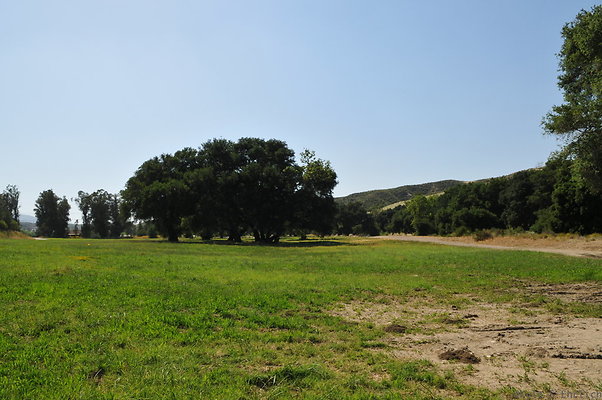 DSC 0646