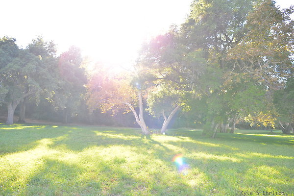 DSC 7556
