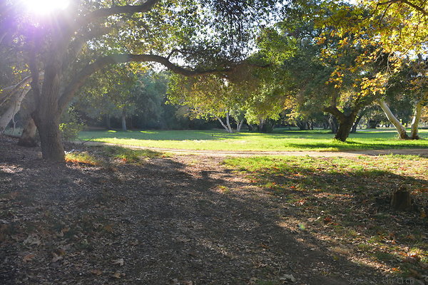 DSC 7568