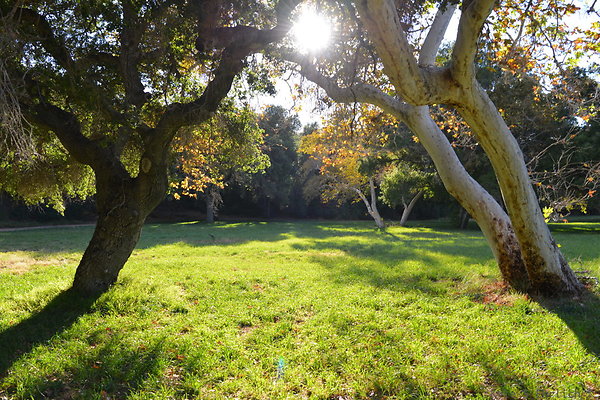 DSC 7535