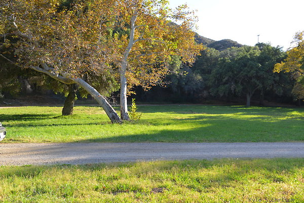 DSC 7524