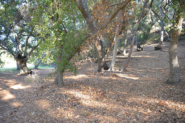 DSC 7588