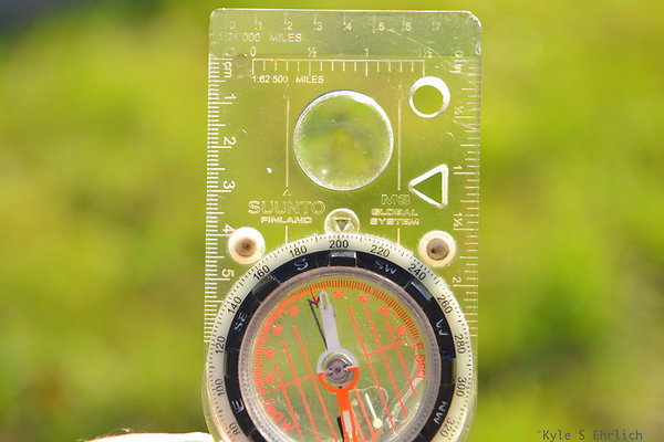DSC 7513