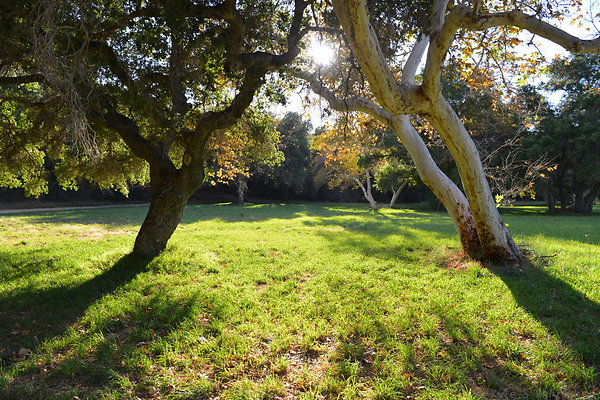 DSC 7534