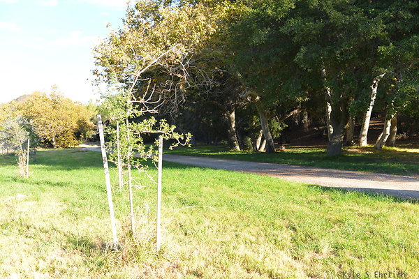DSC 7522
