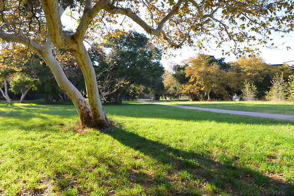 DSC 7539