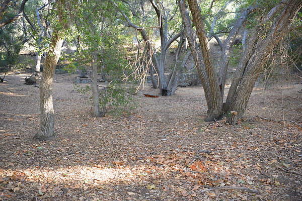 DSC 7589