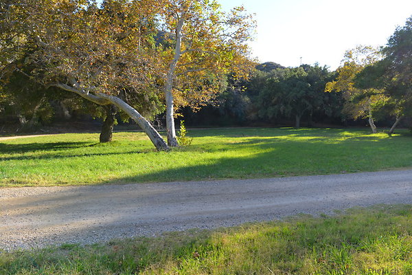 DSC 7525