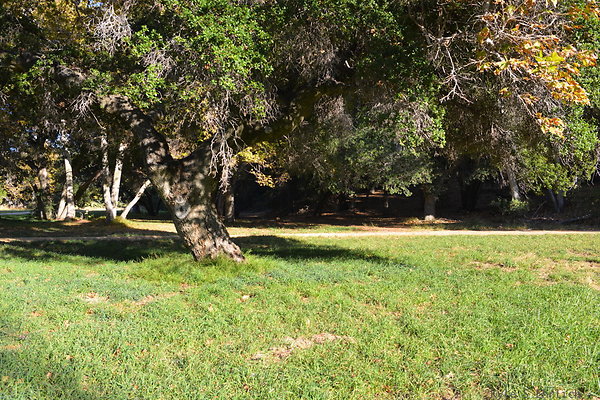 DSC 7561