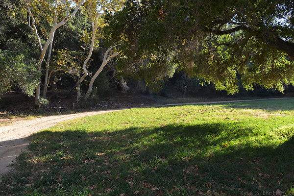 DSC 7537