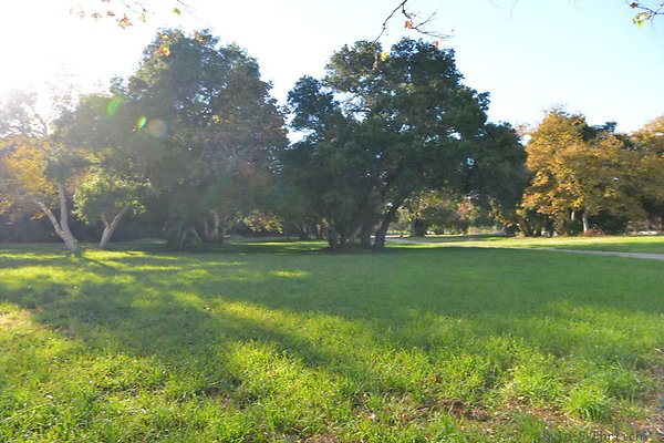 DSC 7549