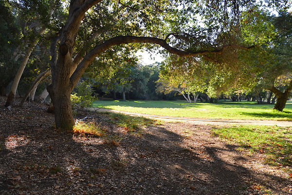 DSC 7576
