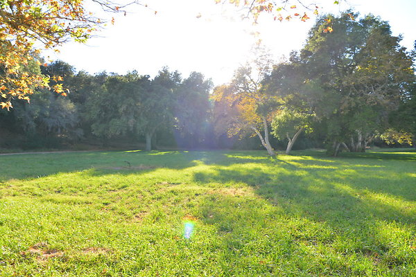 DSC 7548