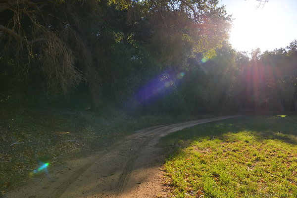 DSC 7631