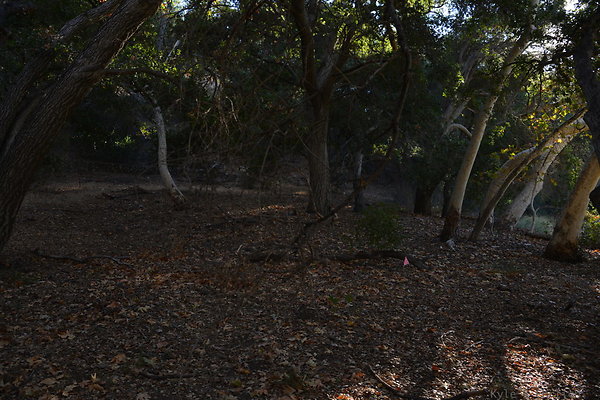 DSC 7579