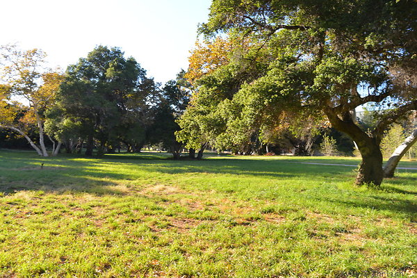 DSC 7633