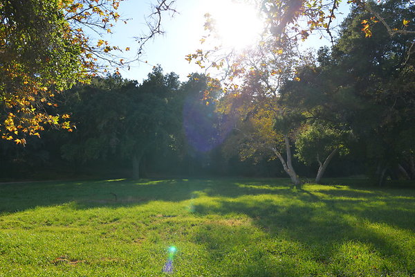 DSC 7546