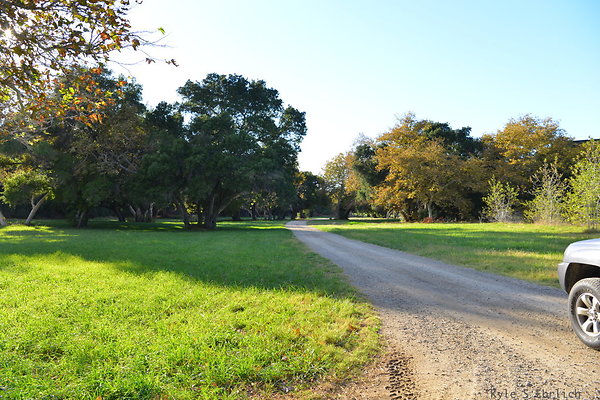 DSC 7533